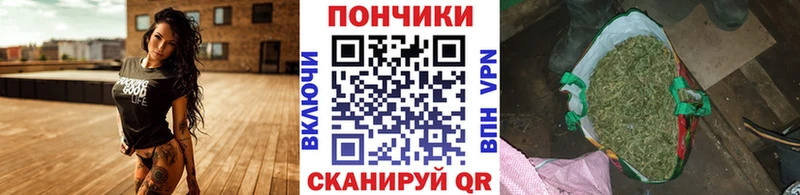Где купить Обоянь Бошки Шишки Cocaine ГАШ Мефедрон